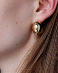 Pare earrings
