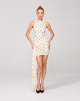 Fluid Polka Dress