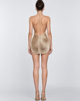 Solmira Dress