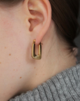 Polar earrings