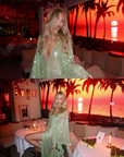 Zammy Dress