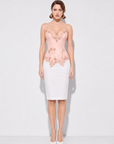 Araminta Corset
